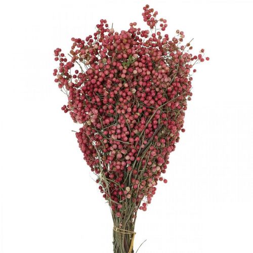 Floristik24 Pipirų uogos, džiovintos gėlės, Adventas, rožiniai pipirai, žiemos papuošimai L40-45cm 200g