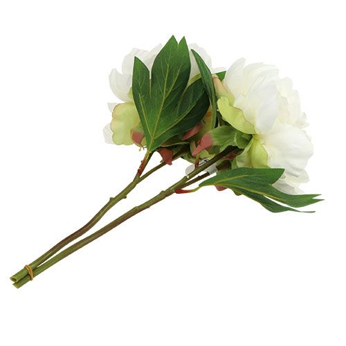 Floristik24 Bijūnai su pumpurais balti L30cm 2vnt