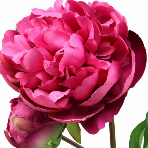 Floristik24 Bijūnų dirbtinė gėlė su žiedais ir pumpuru purpurine purpurine 68cm