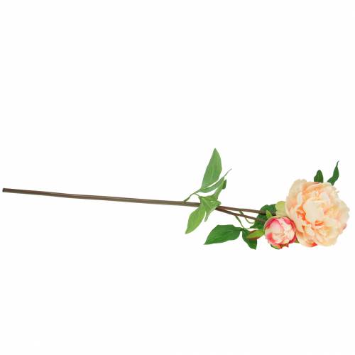 Floristik24 Bijūnas su žiedais ir pumpurais dirbtinis persikas 70cm