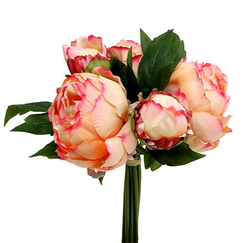 Floristik24 Bijūnų puokštė persikas 30cm