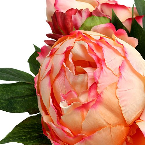 Floristik24 Bijūnų puokštė persikas 30cm