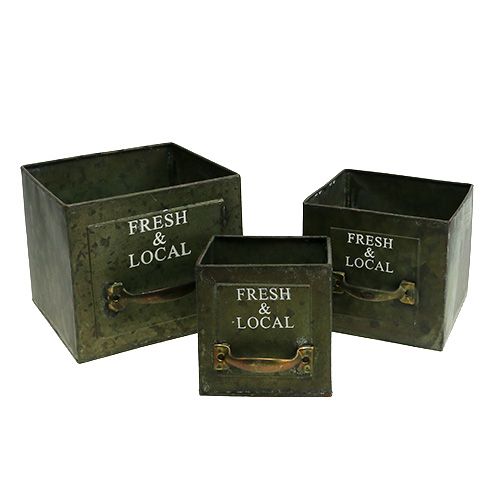 Floristik24 Augalų stalčių lakštinio metalo rinkinys iš 3 senovinių žalių