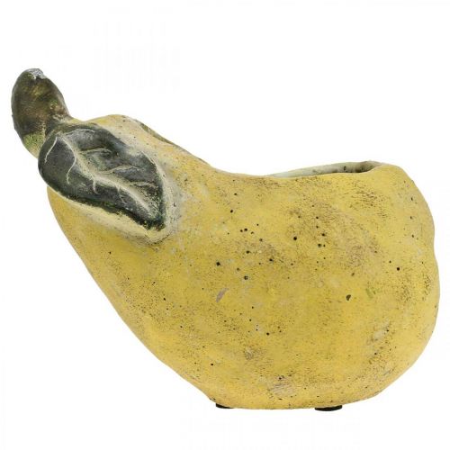daiktų Kriaušė sodinimui, rudens puošmena, betoninis indas L19cm A15,5cm