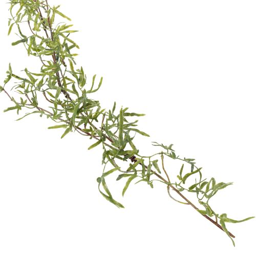 daiktų Šparagų girlianda šventinei kambario dekoracijai ir stilingoms progoms, 170 cm