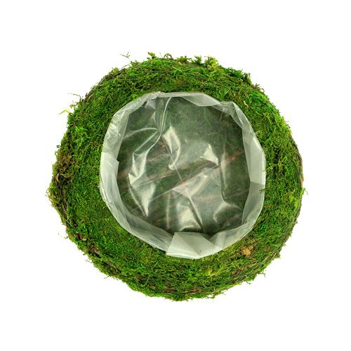 Floristik24 Augalų dubuo samanų šakos Ø20cm