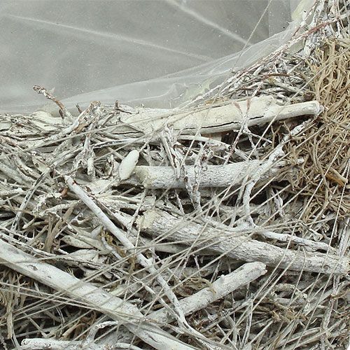 Floristik24 Sodinimo dubuo pilkas Ø25cm