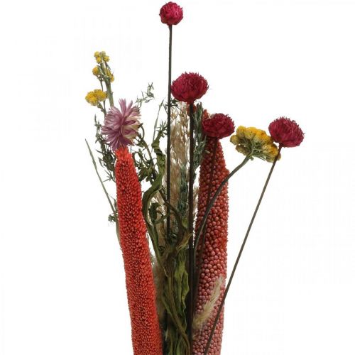 daiktų Džiovintų gėlių puokštė su pievų gėlėmis rožinės spalvos DIY rinkinys H30-35cm