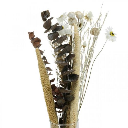 Floristik24 Džiovintų gėlių puokštė su eukalipto baltumo DIY dėžute H30-35cm