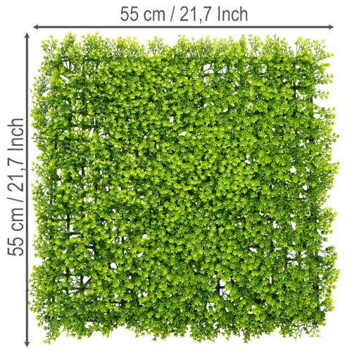 Dirbtinis buksmedžio augalų kilimėlis 55x55 cm dekoratyviniam sienų dizainui | Floristik24.lt