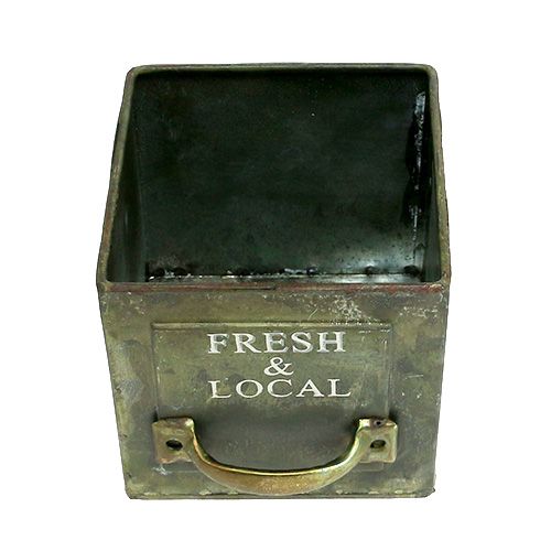 Floristik24 Kvadratinė senovinė sėjamoji 10cm x 10cm