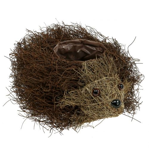 daiktų Ežiuko sodinukas iš vynmedžių 22cm x 25cm
