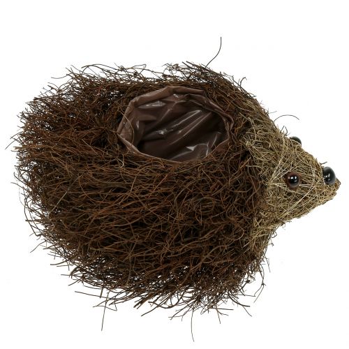 daiktų Ežiuko sodinukas iš vynmedžių 22cm x 25cm