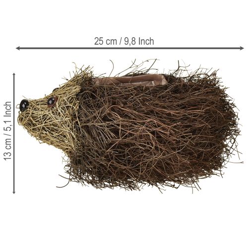 daiktų Ežio formos vazonas iš vijoklių 22 cm x 25 cm