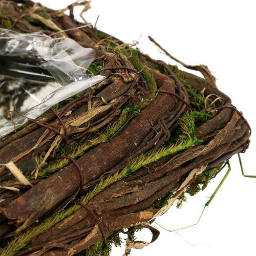 Floristik24 Augalinė pagalvė kapui 16,5cm x 29cm 1 vnt