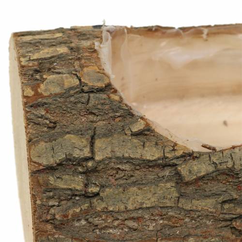 Floristik24 Sodinamosios guobos mediena 20cm x 11cm H9cm