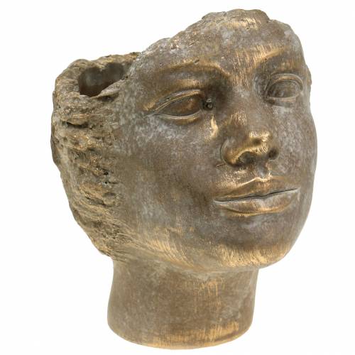 Floristik24 Galvos sodintuvas augalo biustas auksinis H24cm