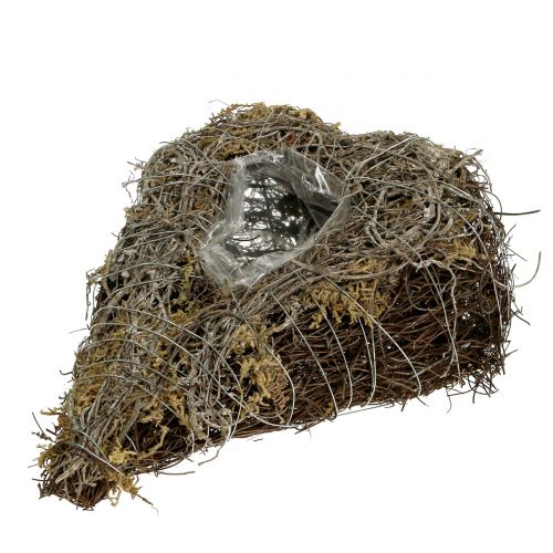 Floristik24 Augalo širdelė iš vynmedžių ir kerpių gamtos 25cm x 19cm