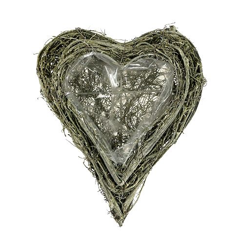 Floristik24 Augalo širdelė žalia išskalbta L25cm P20cm