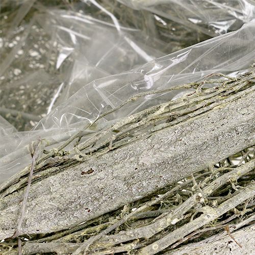 Floristik24 Augalo širdelė žalia išskalbta L25cm P20cm