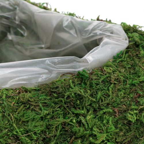 Floristik24 Augalo širdelės samanos 28cm x 23cm