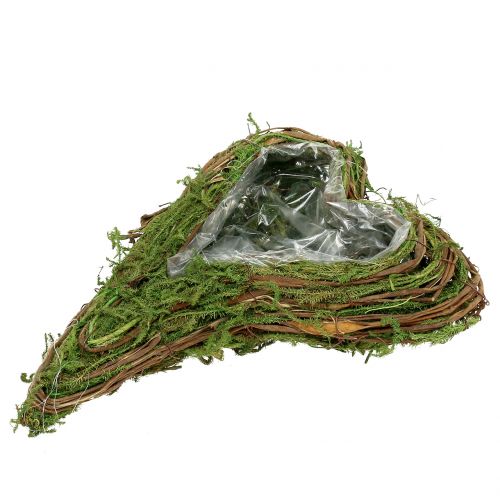 Floristik24 Pasodinkite 30 cm x 20 cm dydžio samanas ir vynmedžius
