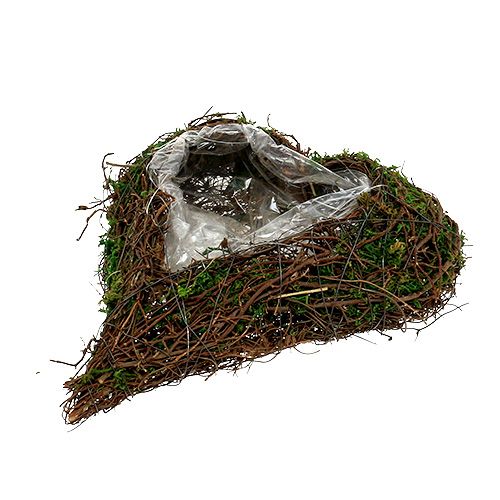 daiktų Pasodinti širdies vynmedį, samanos 22cm x 25cm H7cm