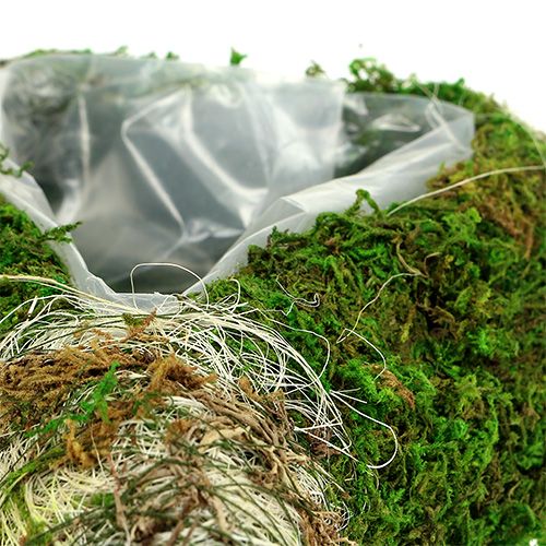 Floristik24 Augalo širdelės samanos 35cm x 25cm