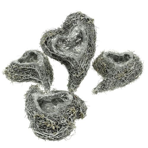 daiktų Augalas širdies vynmedis 15cm x 23cm x 5cm baltas 4 vnt