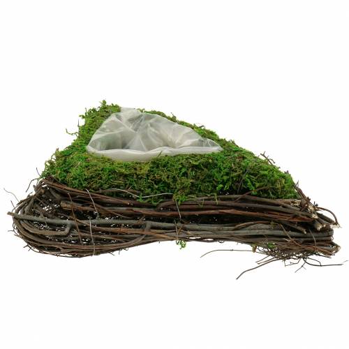 daiktų Pasodinti širdies vynmedį, samanos 22cm x 28cm H8cm
