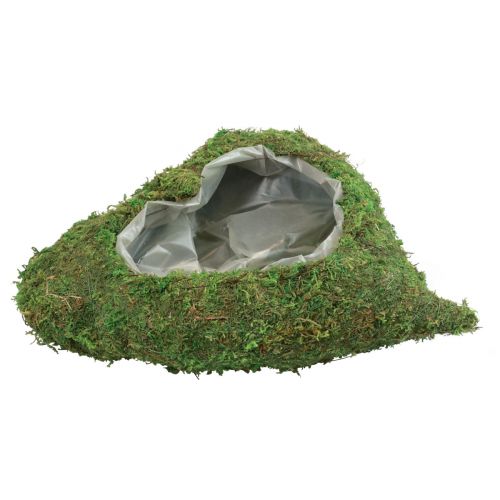 Floristik24 Augalo širdelė samanų žalia augalų dubuo širdelė 20x20x5,5cm