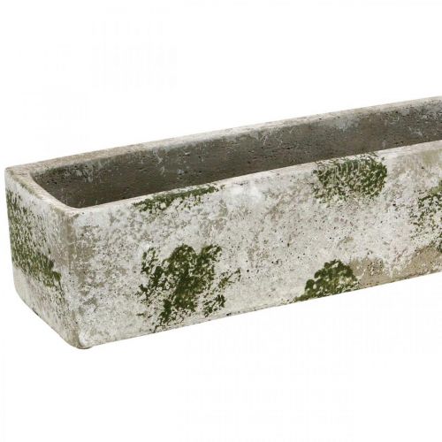 Floristik24 Sodinamosios betoninės senovinės išvaizdos Stačiakampė gėlių dėžutė 40×8×7cm