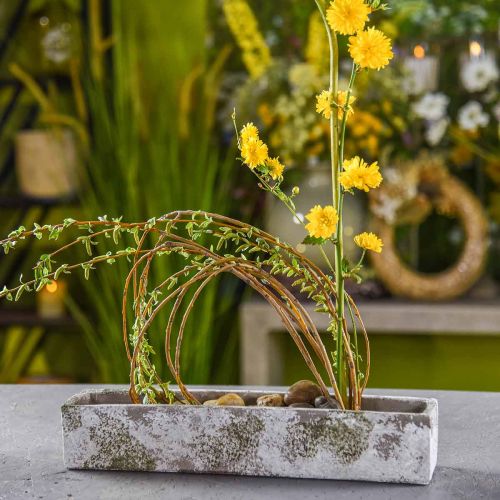 Floristik24 Sodinamosios betoninės senovinės išvaizdos Stačiakampė gėlių dėžutė 40×8×7cm
