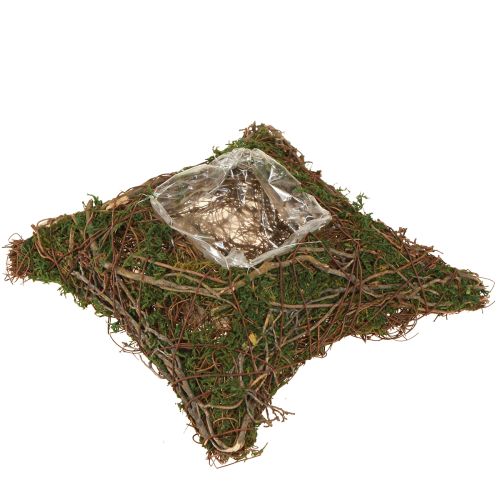 Augalų pagalvėlė, vynmedžiai, samanų vazonas, natūralus, 20 × 20 × 6,5 cm