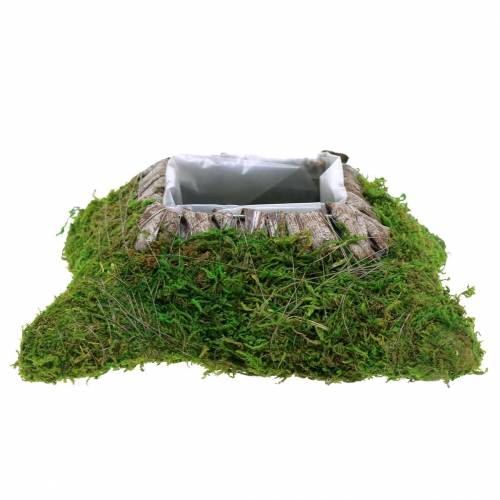 Floristik24 Augalinės pagalvėlės samanos, žievė 25cm × 25cm