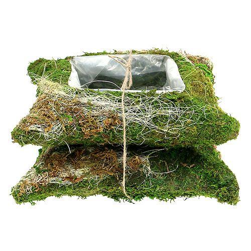 Floristik24 Augalų pagalvėlės samanos 25cm x 25cm 2vnt
