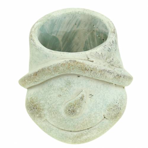 daiktų Sodinamosios augalo galvutė sniego senelis Ø11cm H11,5cm 2vnt