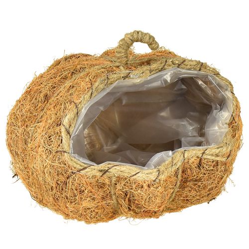 Augalų krepšelis moliūgas rudens dekoracija oranžinis Ø22cm A17cm