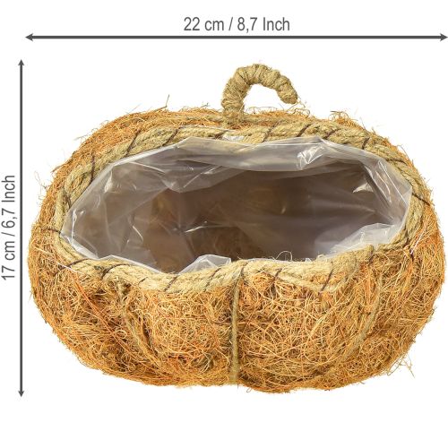 daiktų Augalų krepšelis moliūgas rudens dekoracija oranžinis Ø22cm A17cm