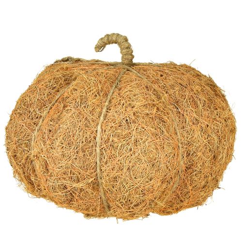 daiktų Augalų krepšelis moliūgas rudens dekoracija oranžinis Ø22cm A17cm