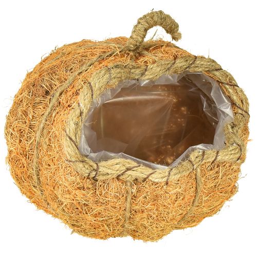 Augalų krepšelis moliūgas su folijos rudens dekoracija oranžinis Ø18cm A15cm