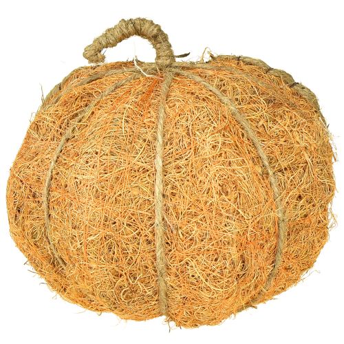daiktų Augalų krepšelis moliūgas su folijos rudens dekoracija oranžinis Ø18cm A15cm