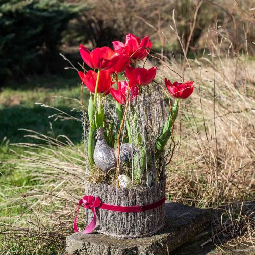 daiktų Augalų krepšelis iš šakelių baltai skalbtas Ø15-25cm rinkinys po 3