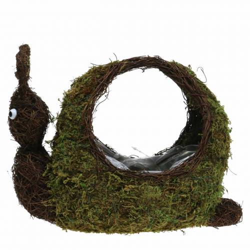 Floristik24 Augalų krepšelis sraigių samanų rudas 29x13cm H23cm