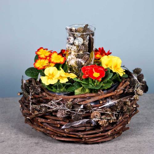 Floristik24 Augalų krepšelis vynmedžių šakos gamta Ø36cm H16cm