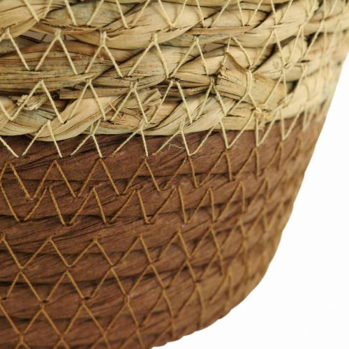 Floristik24 Augalų krepšelis sodintuvas jūržolių krepšelis deco nature Ø19cm H16cm