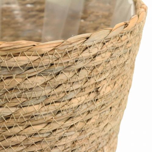 Floristik24 Augalų krepšelis sodintuvas jūržolių krepšelis deco nature Ø23cm H20cm