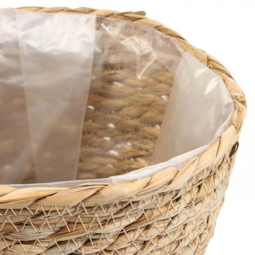 daiktų Augalų krepšelis sodintuvas jūržolių krepšelis deco nature Ø26cm H23cm