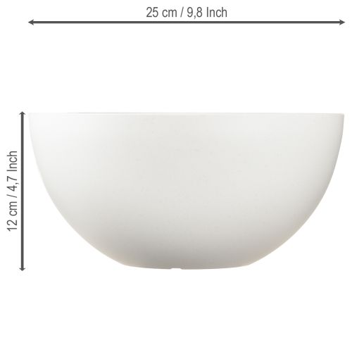 daiktų Augalų vazonas, plastikinis, apvalus, baltas, Ø25 cm, aukštis 12 cm
