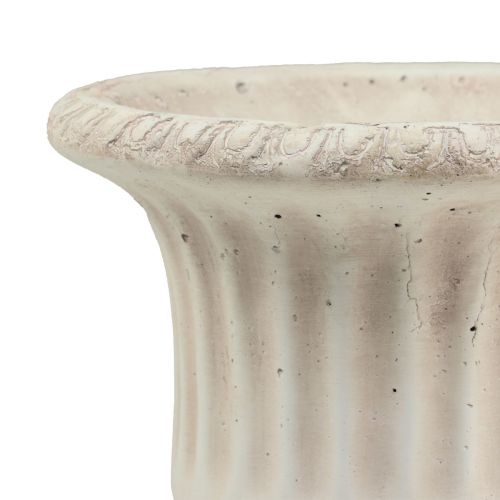 Floristik24 Augalų vazonas trofėjus betoninis dekoratyvinis gėlių vazonas senovinis Ø19cm H24cm